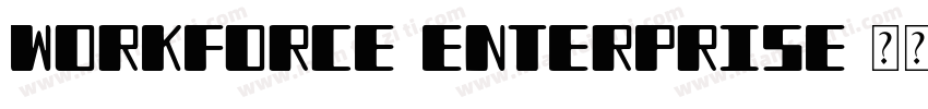 Workforce Enterprise字体转换
